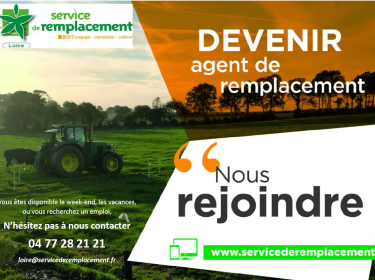 Service de remplacement