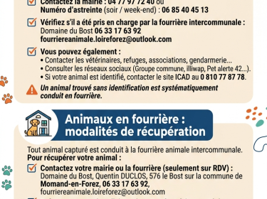 animaux errants